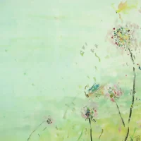 Butterflies and flowers