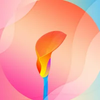 Calla