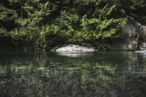 Clear water rocks by brodie vissers