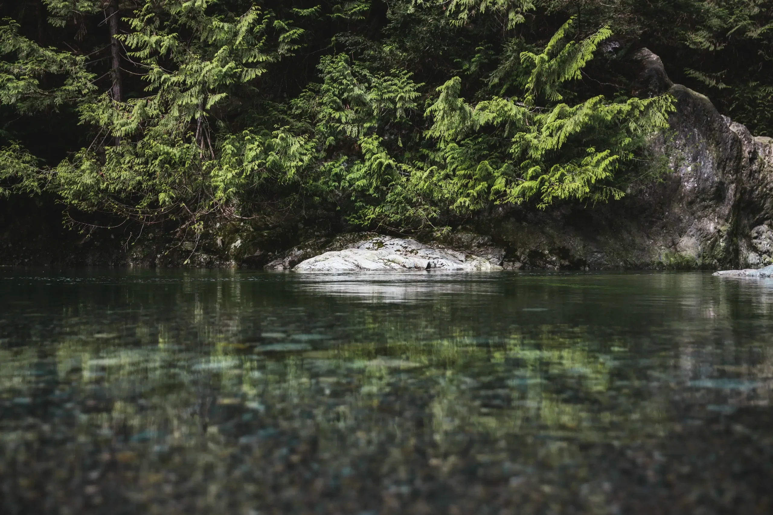 Clear water rocks by brodie vissers