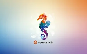 Dream hippocampus