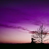 Edubuntu mrtau and tree by tj