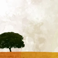 Edubuntu lonelytree