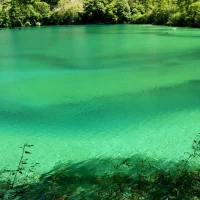 Green lake