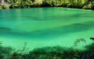 Green lake