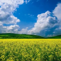 Saibei scenery
