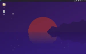 Xubuntu 25.04