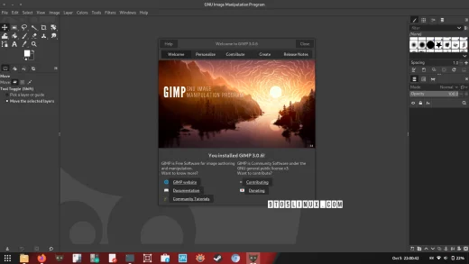 GIMP 3.0.6
