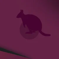Lonely quokka hd