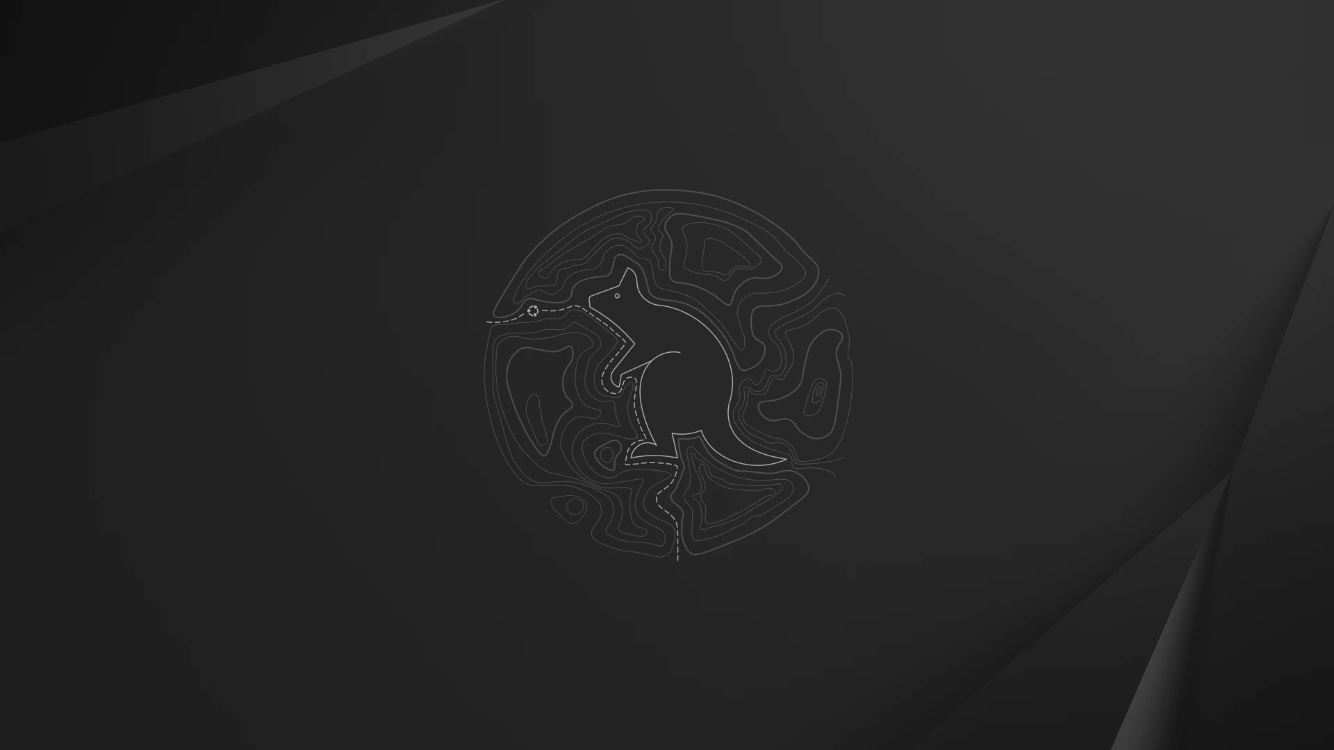 Questing quokka wallpaper dark