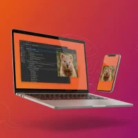 Ubuntu 25 10 everything