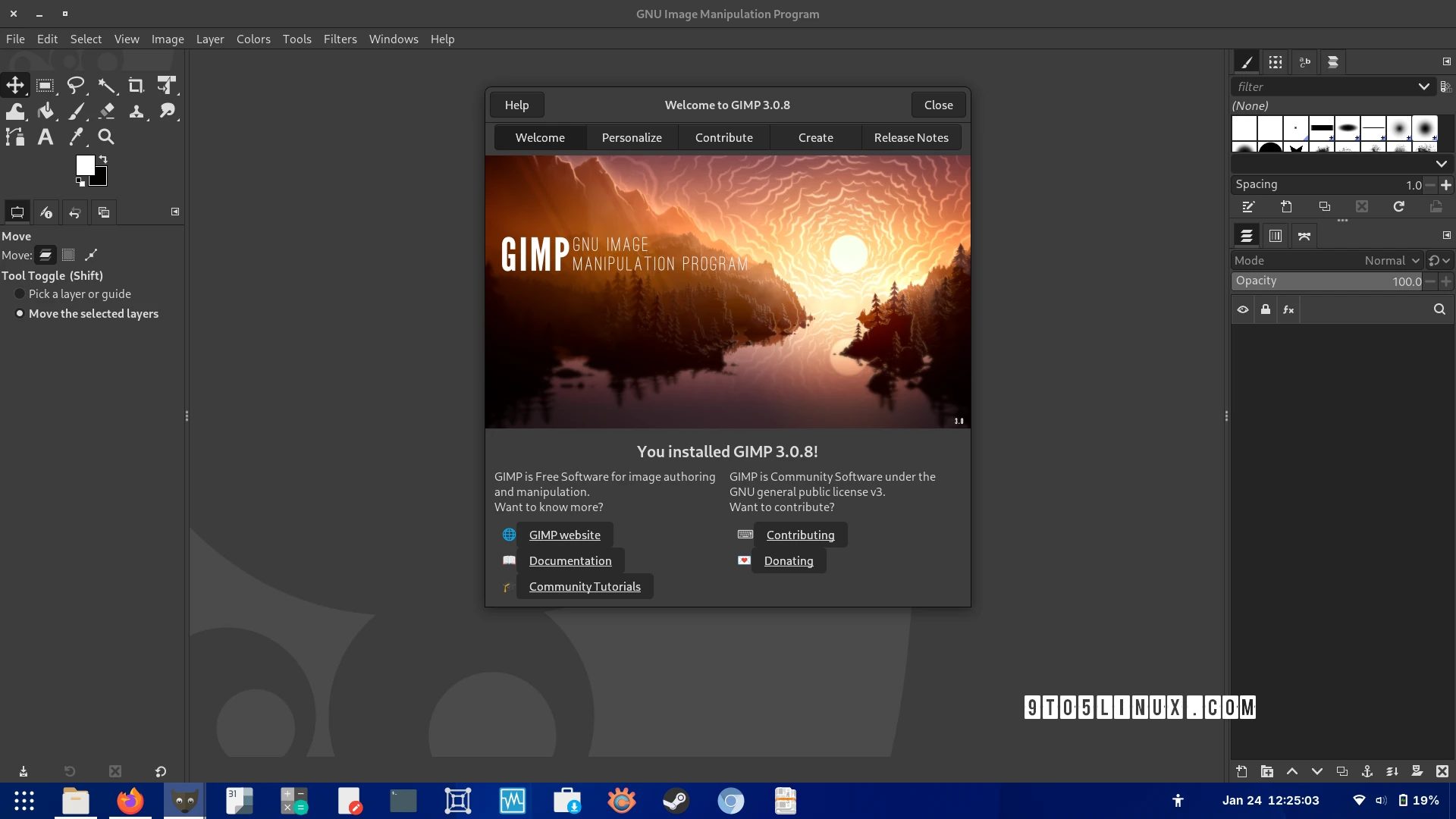GIMP 3.0.8