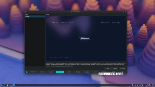 Calamares Plasma Login Manager