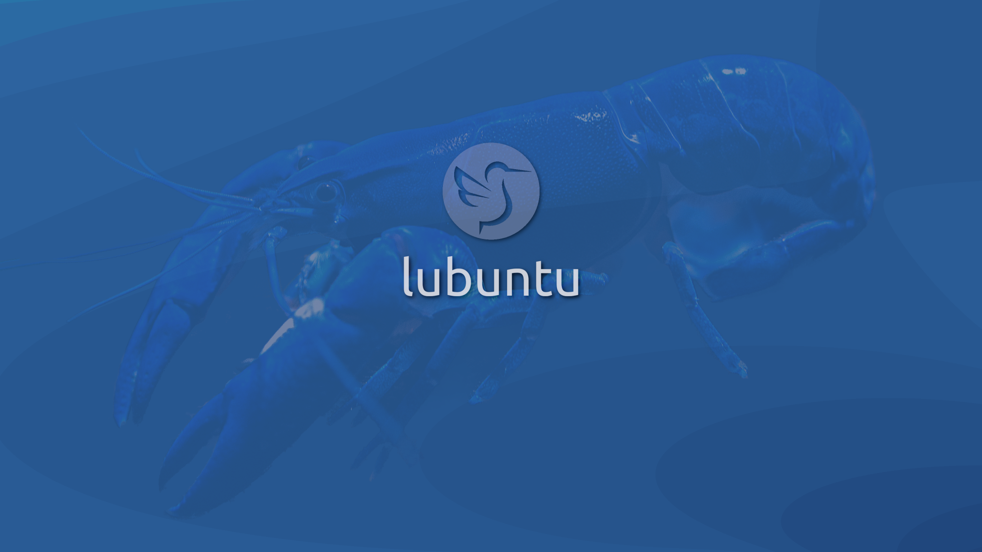 2304 clear lobster - Lubuntu 26.04 Wallpapers - Official LXQt Collection