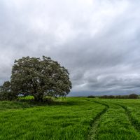 Campos de castilla by david arias gutierrez
