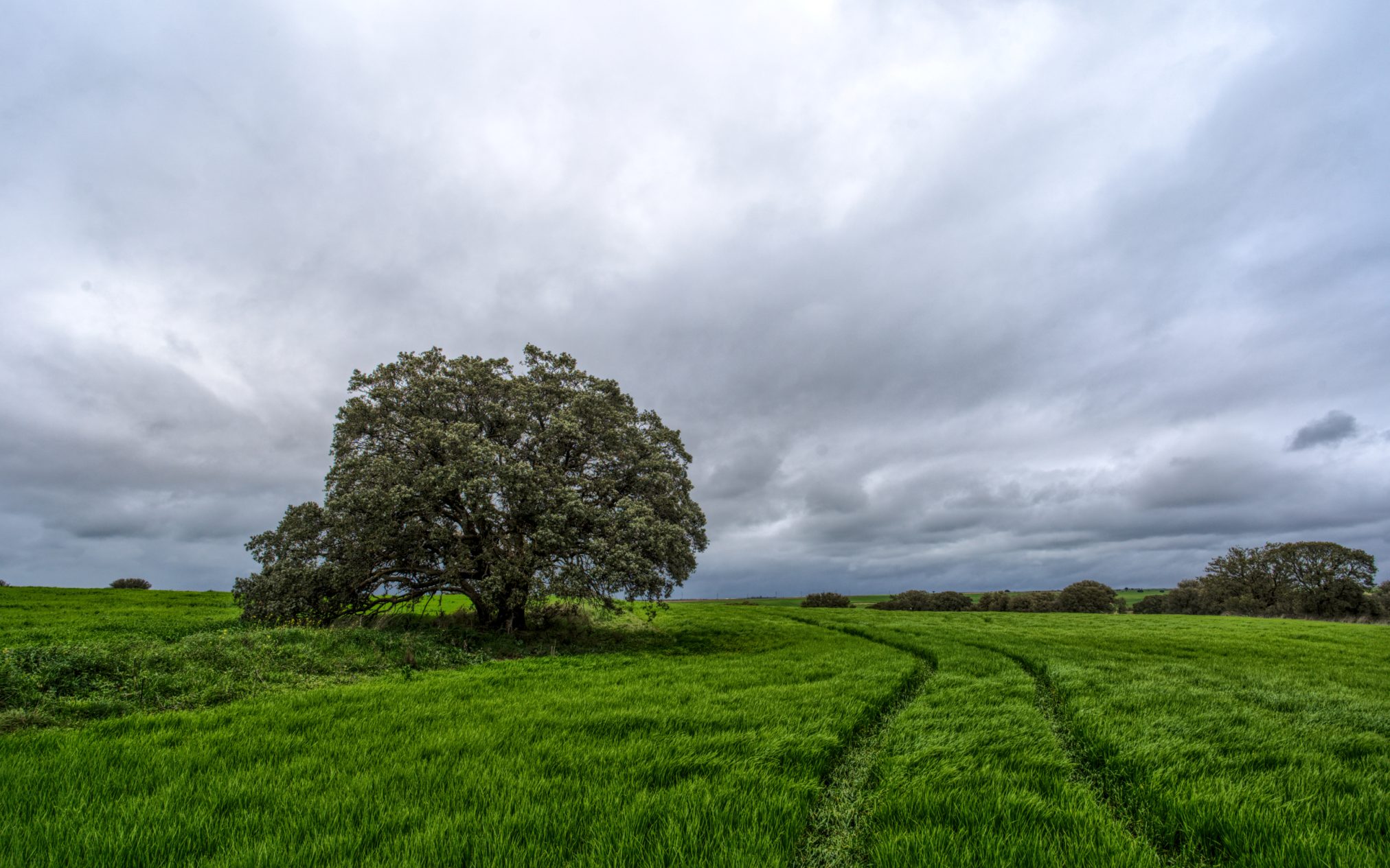 Campos de castilla by david arias gutierrez - Xubuntu 26.04 Wallpapers, Official Xfce Collection
