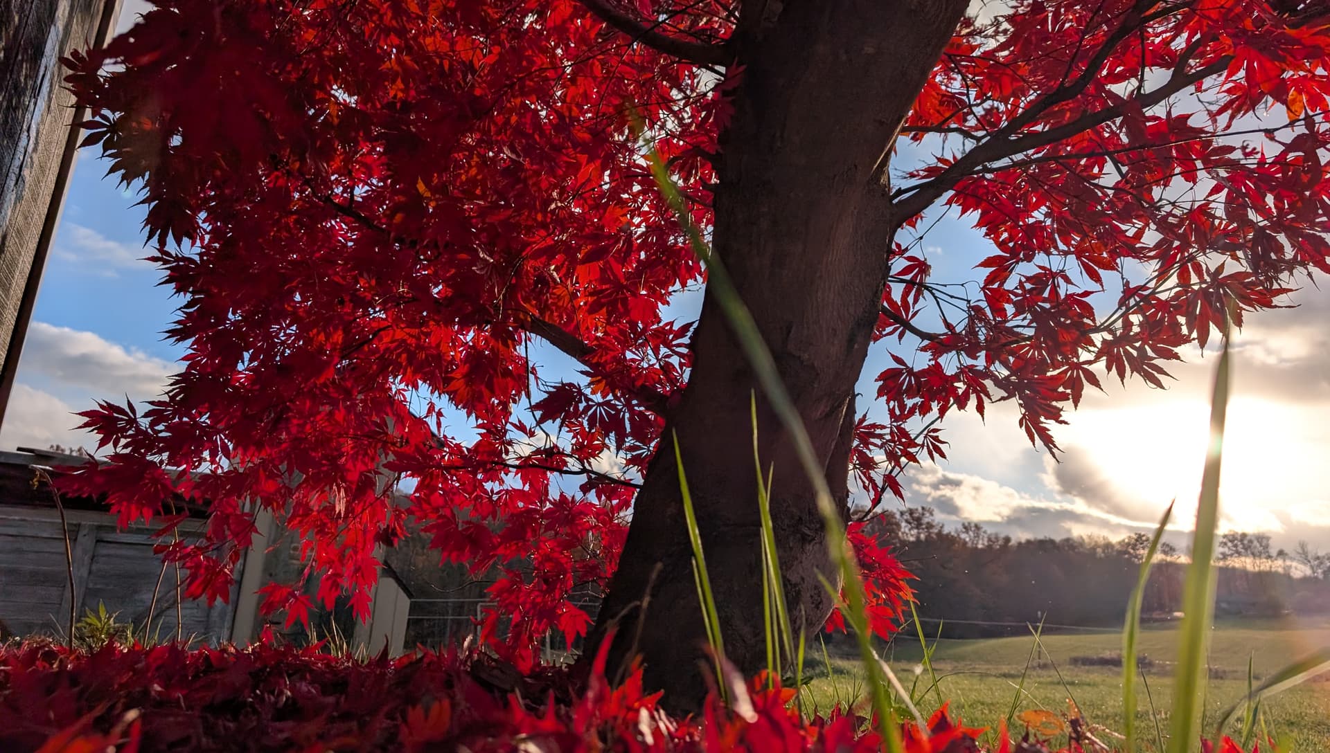 Fall on windy hill by aaronprisk - Xubuntu 26.04 Wallpapers, Official Xfce Collection