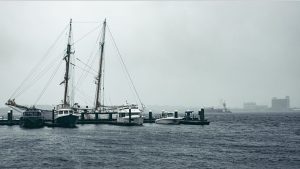 Fan pier boston - Ubuntu 26.04 Wallpapers - Official Resolute Raccoon Collection