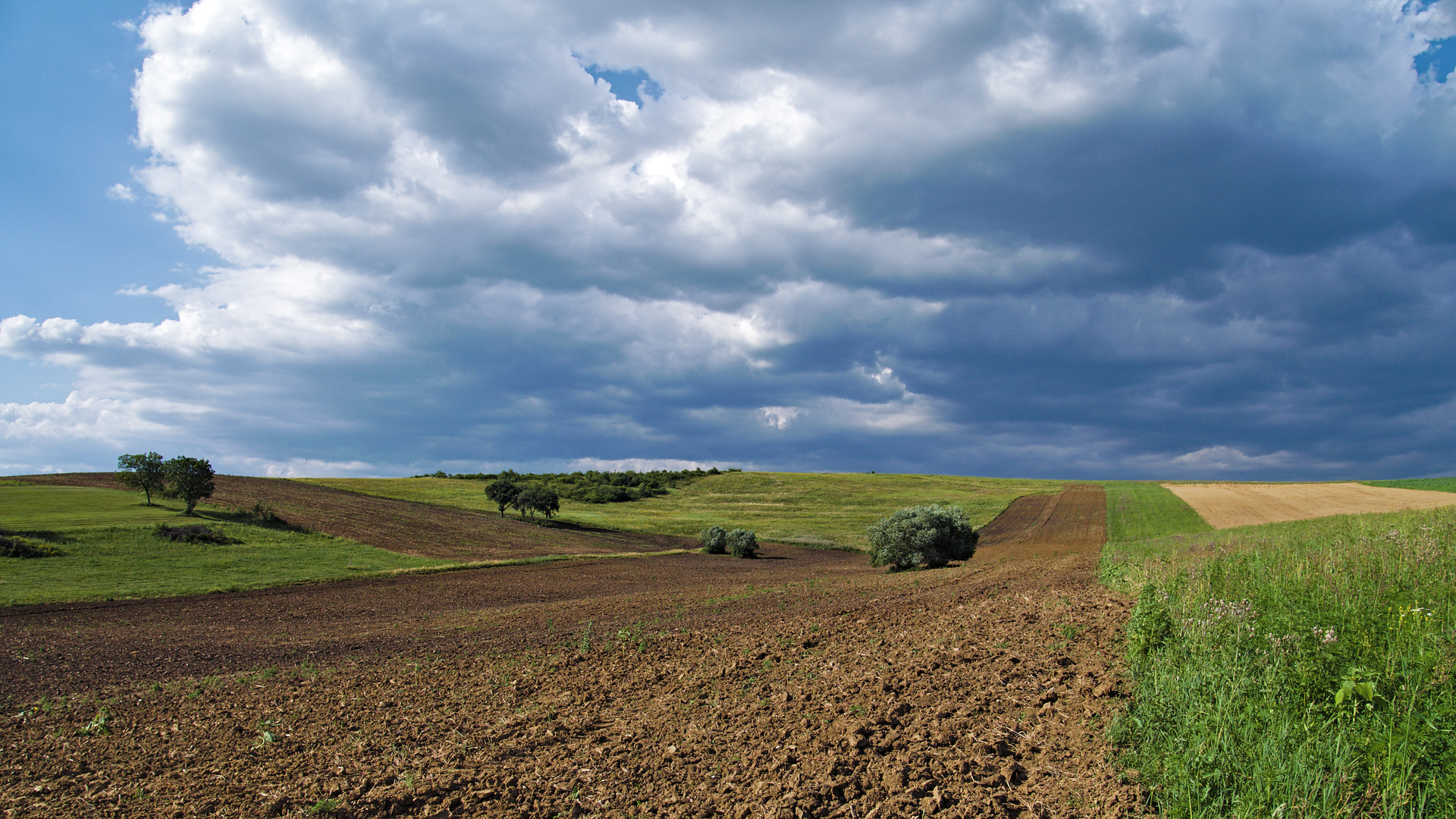 Field by tibor mokanszki - Xubuntu 26.04 Wallpapers, Official Xfce Collection