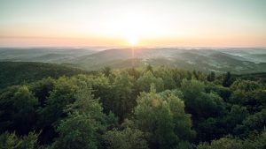 Morning breath by kcpru - Xubuntu 26.04 Wallpapers, Official Xfce Collection