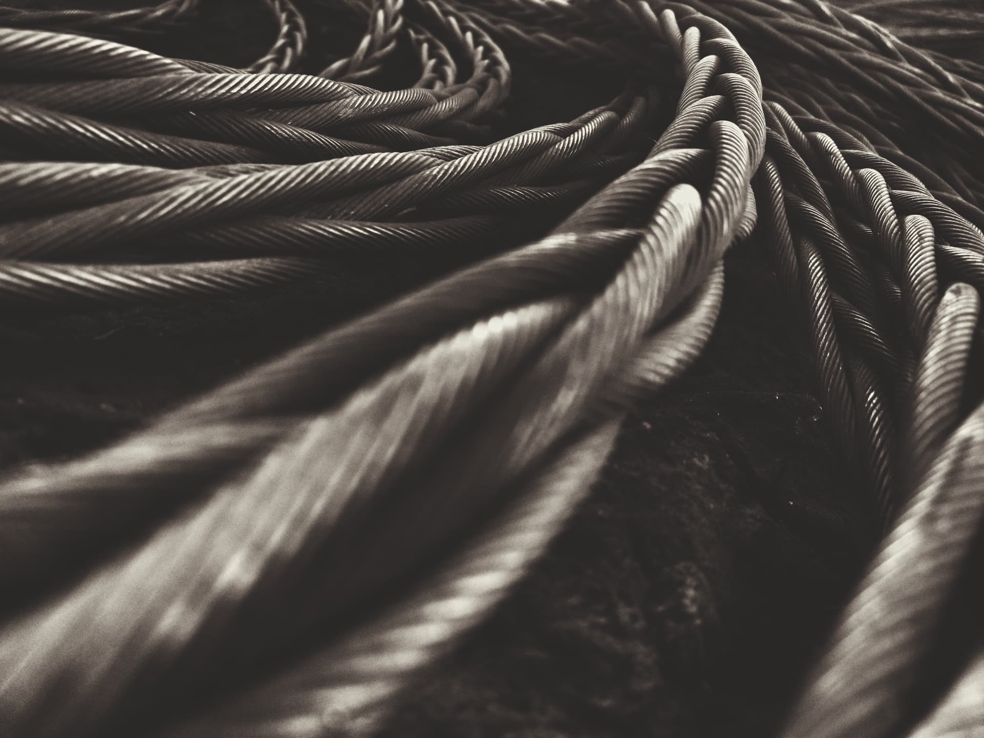 Nerves of steel - Ubuntu 26.04 Wallpapers - Official Resolute Raccoon Collection