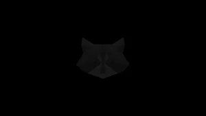 Racc blackout - Ubuntu 26.04 Wallpapers - Official Resolute Raccoon Collection
