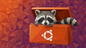 Raccoon out of ubuntu tool box - Ubuntu 26.04 Wallpapers - Official Resolute Raccoon Collection
