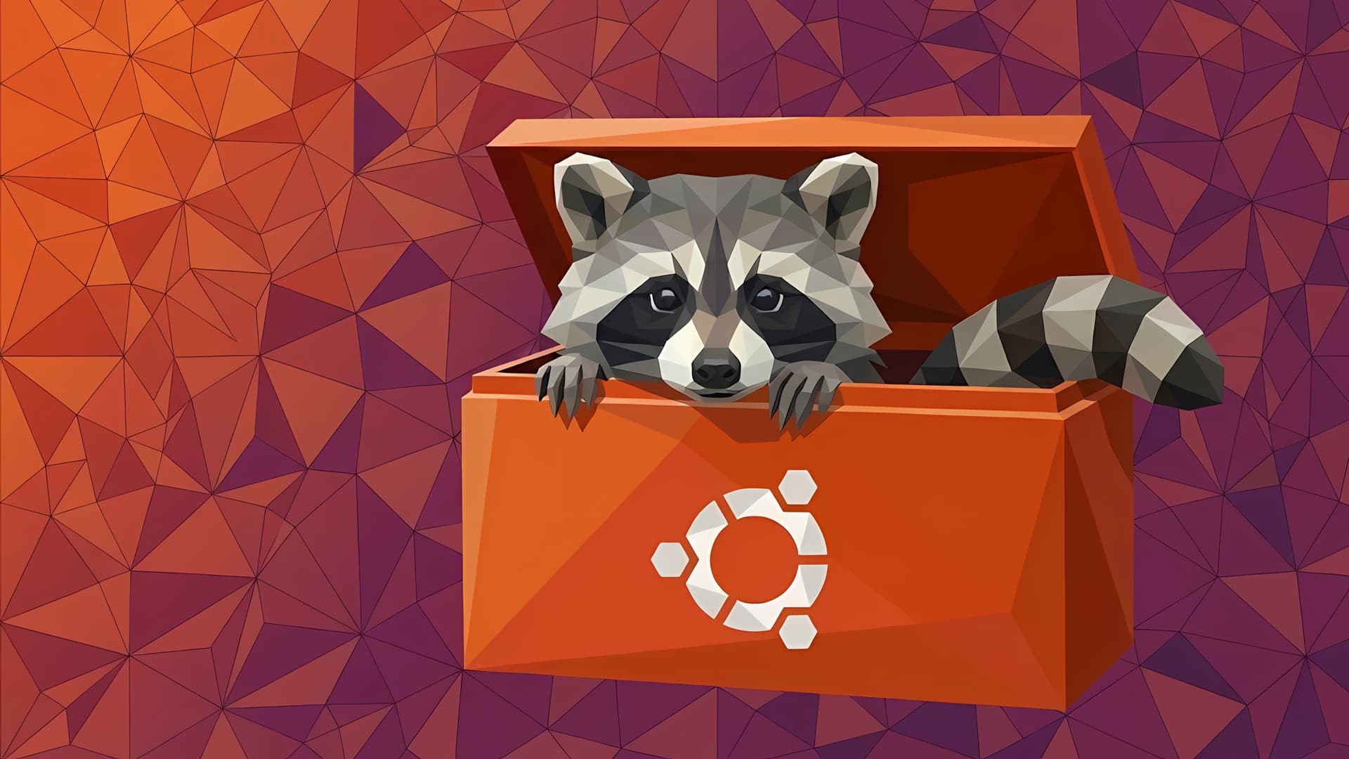 Raccoon out of ubuntu tool box - Ubuntu 26.04 Wallpapers - Official Resolute Raccoon Collection