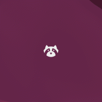 Resolute raccoon animated mascot 1920×1080