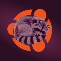 Resolute raccoon regenerating
