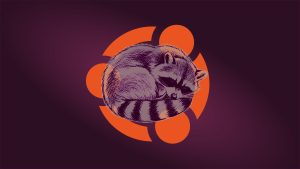 Resolute raccoon regenerating - Ubuntu 26.04 Wallpapers - Official Resolute Raccoon Collection