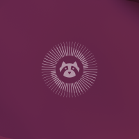Resolute raccoon wallpaper color 2560×1440
