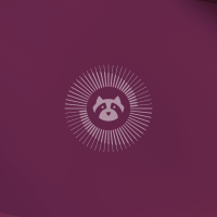 Resolute raccoon wallpaper color 3840×2160