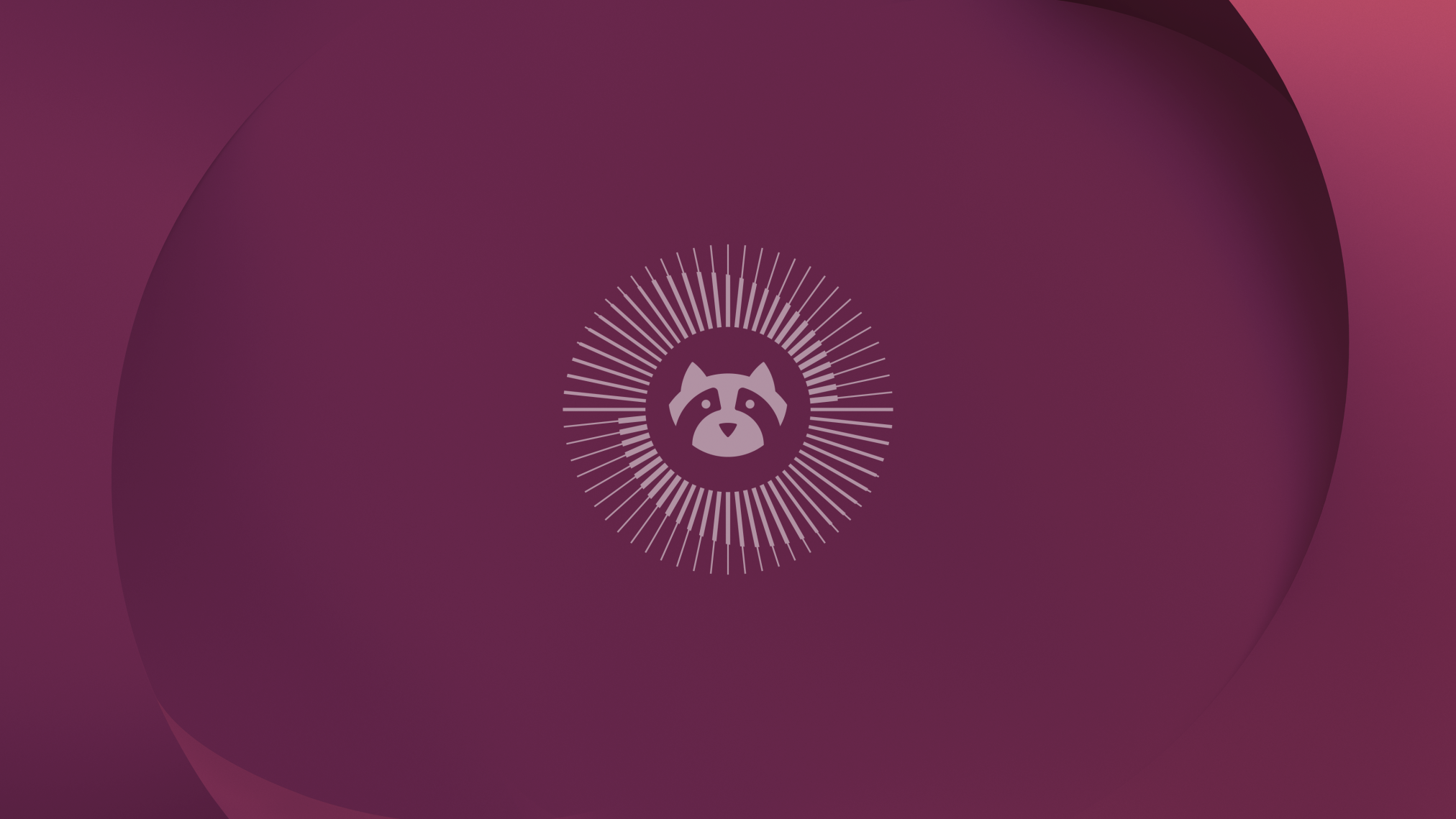 Resolute raccoon wallpaper color 3840x2160 - Ubuntu 26.04 Wallpapers - Official Resolute Raccoon Collection