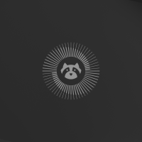 Resolute raccoon wallpaper dark 1920×1080