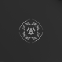 Resolute raccoon wallpaper dark 2560×1440