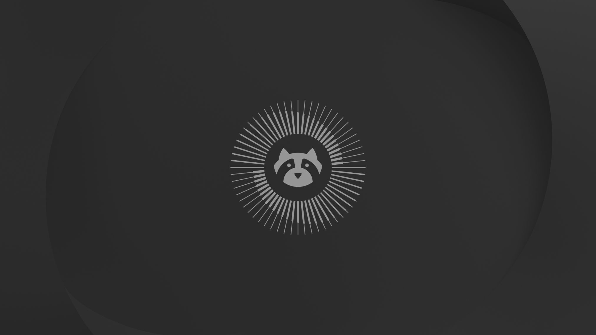 Resolute raccoon wallpaper dark 2560x1440 - Ubuntu 26.04 Wallpapers - Official Resolute Raccoon Collection