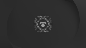 Resolute raccoon wallpaper dark 3840x2160 - Ubuntu 26.04 Wallpapers - Official Resolute Raccoon Collection