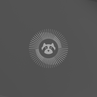 Resolute raccoon wallpaper dimmed 2560×1440