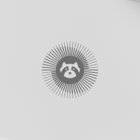 Resolute raccoon wallpaper light 2560×1440