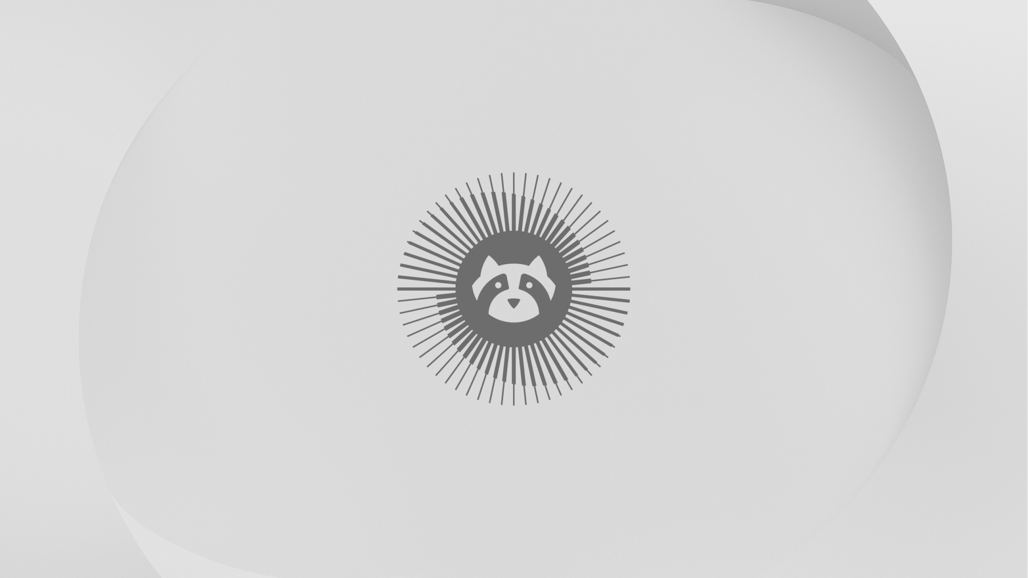 Resolute raccoon wallpaper light 2560x1440 - Ubuntu 26.04 Wallpapers - Official Resolute Raccoon Collection