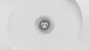 Resolute raccoon wallpaper light 3840x2160 - Ubuntu 26.04 Wallpapers - Official Resolute Raccoon Collection