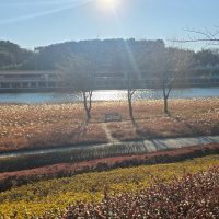 Riverside in suncheonman national garden south korea