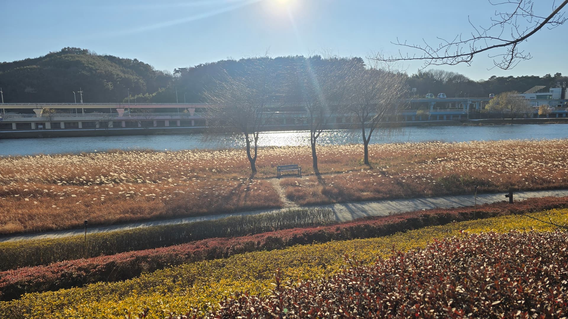 Riverside in suncheonman national garden south korea - Ubuntu 26.04 Wallpapers - Official Resolute Raccoon Collection