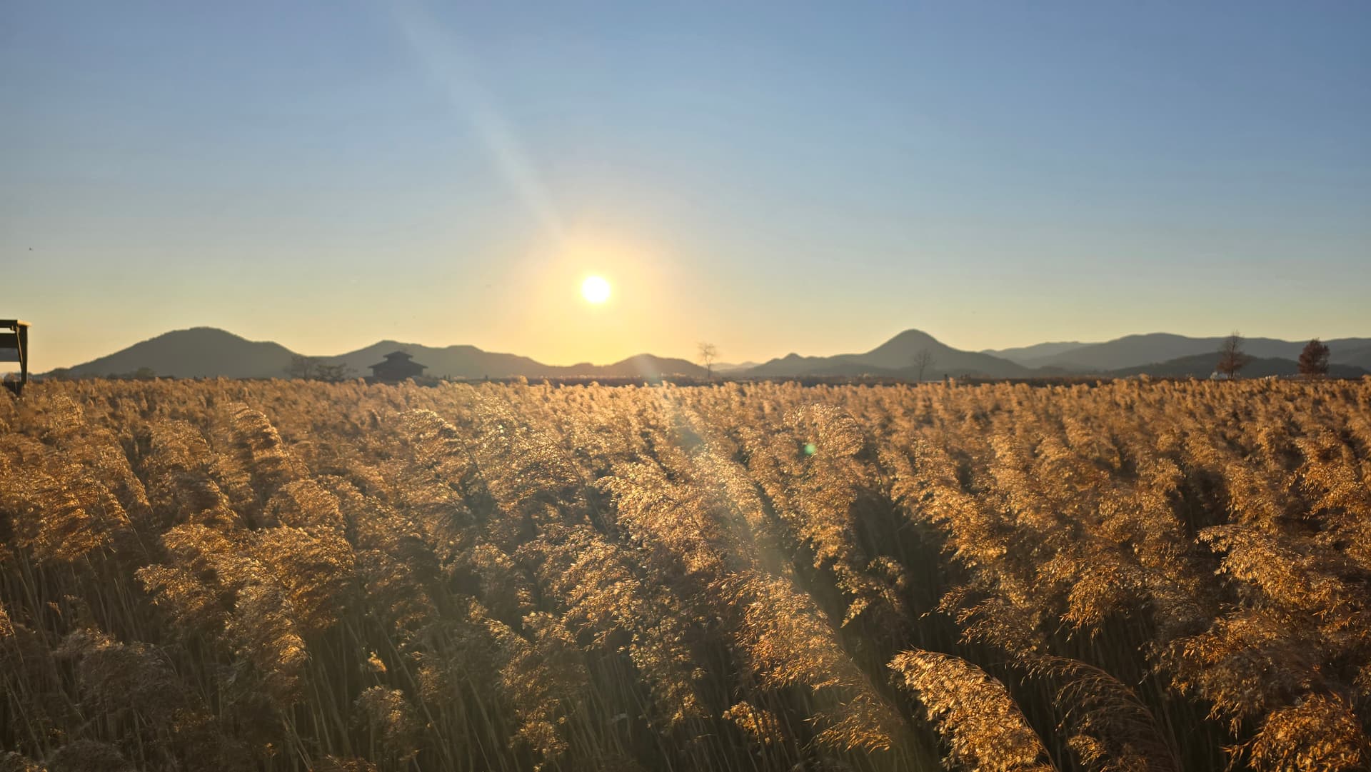 Sunset south korea - Ubuntu 26.04 Wallpapers - Official Resolute Raccoon Collection