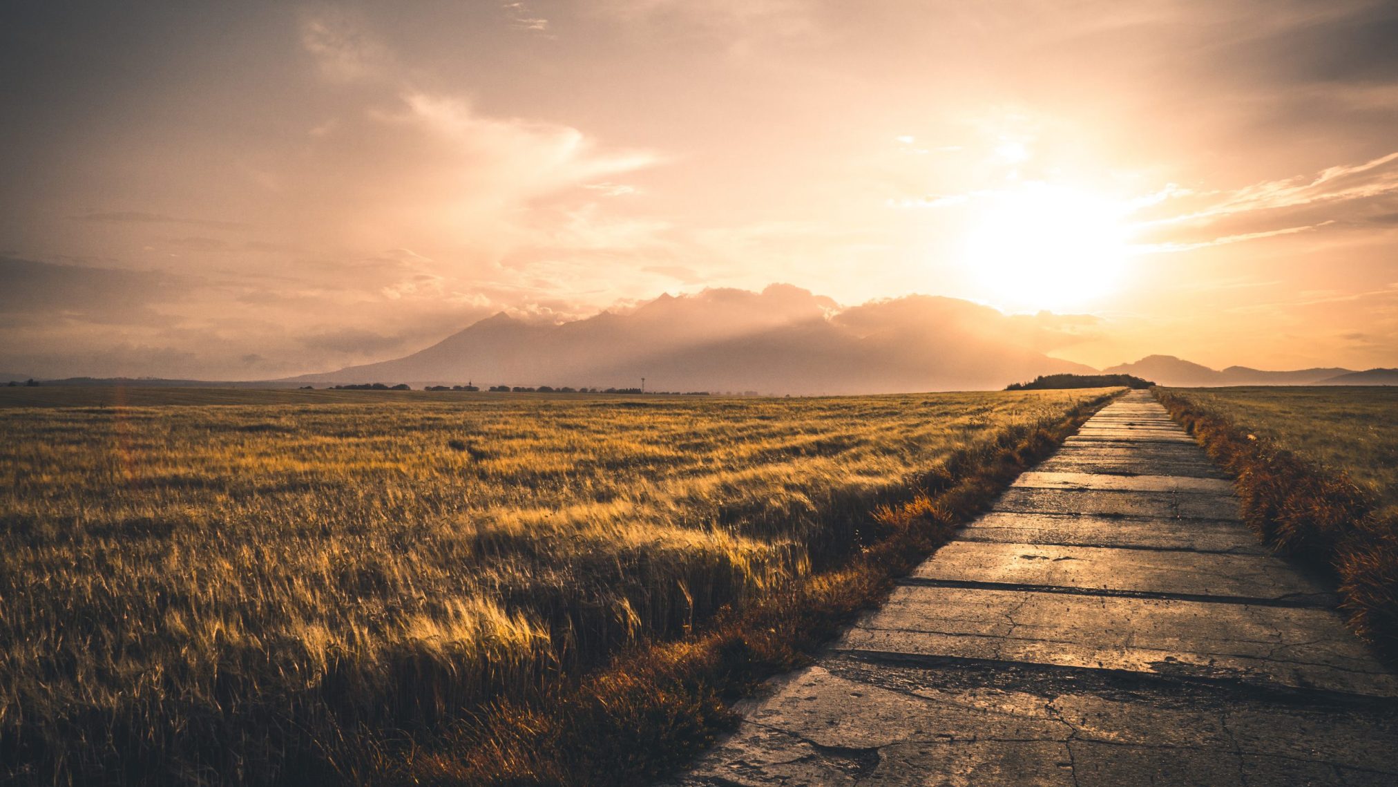 Sunset by kacperu - Xubuntu 26.04 Wallpapers, Official Xfce Collection