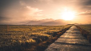 Sunset by kacperu - Xubuntu 26.04 Wallpapers, Official Xfce Collection