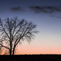 Untitled 0535 by mike sinko