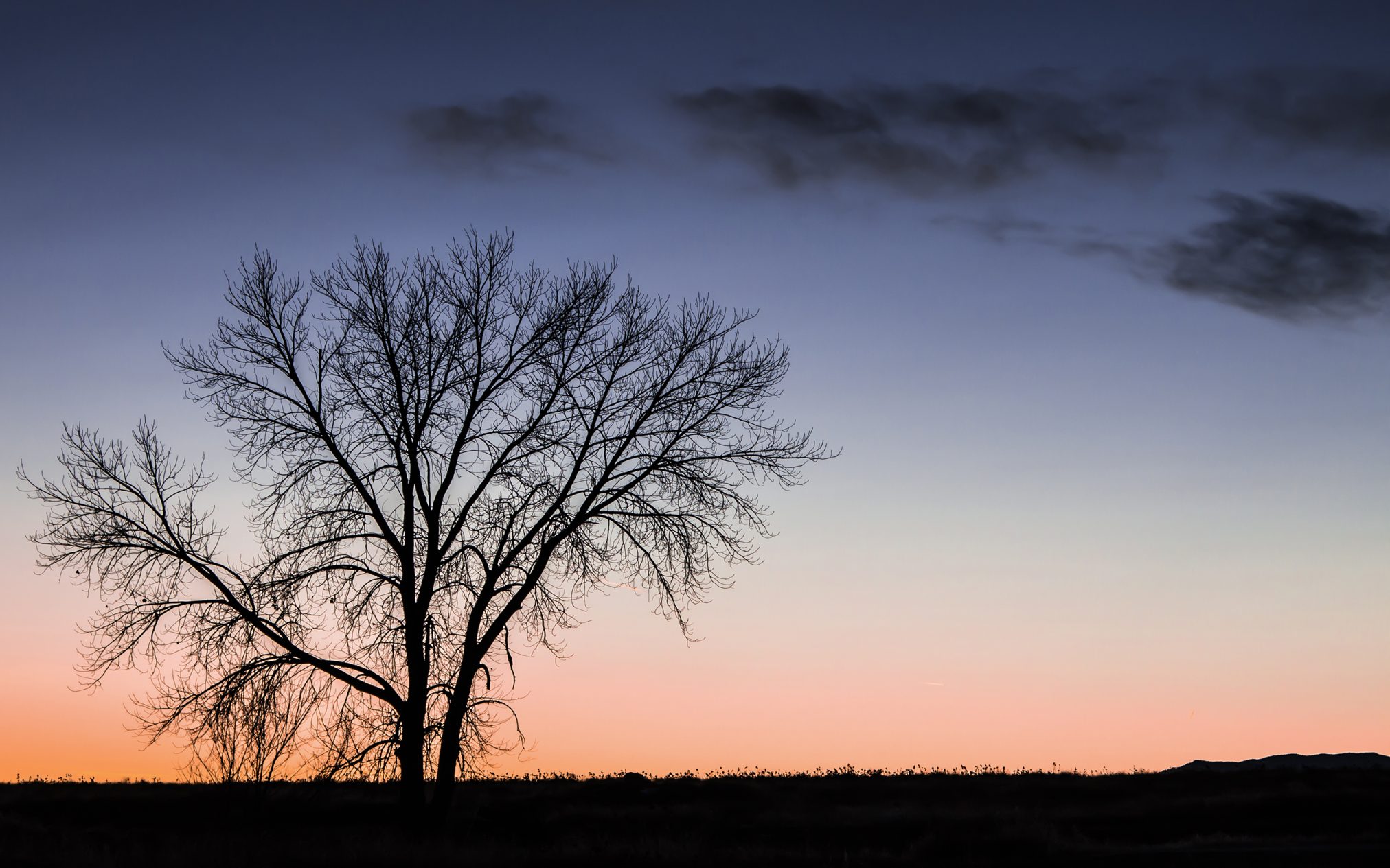 Untitled 0535 by mike sinko - Xubuntu 26.04 Wallpapers, Official Xfce Collection