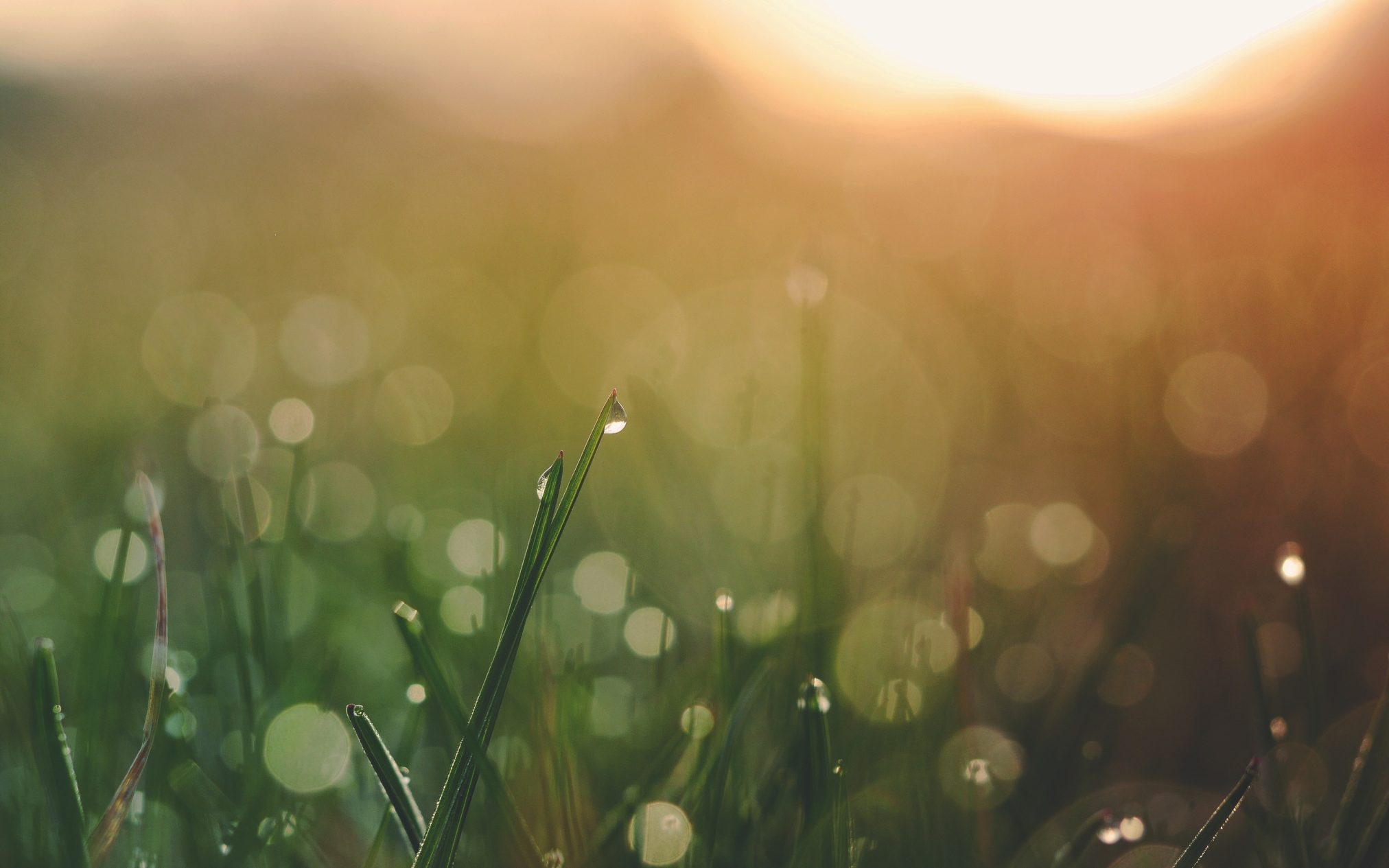 Untitled by aaron burden - Xubuntu 26.04 Wallpapers, Official Xfce Collection